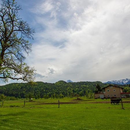 Sankt Niklas an der Drau Gaestehaus Dobernig מראה חיצוני תמונה